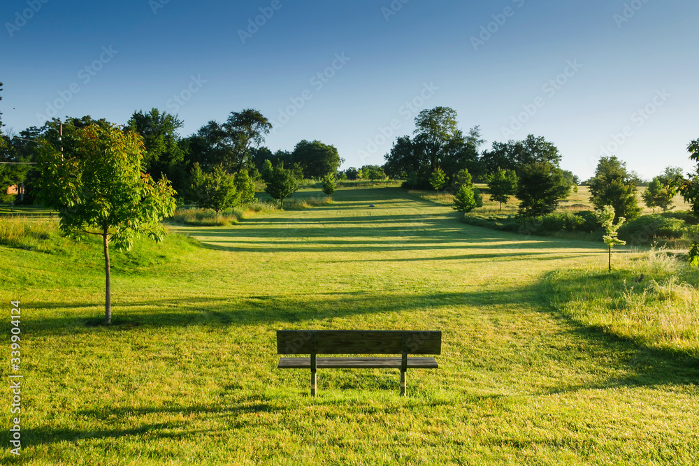 park bench tucked into the bushes off of the walking trail park bench tucked into the bushes off of the walking trail