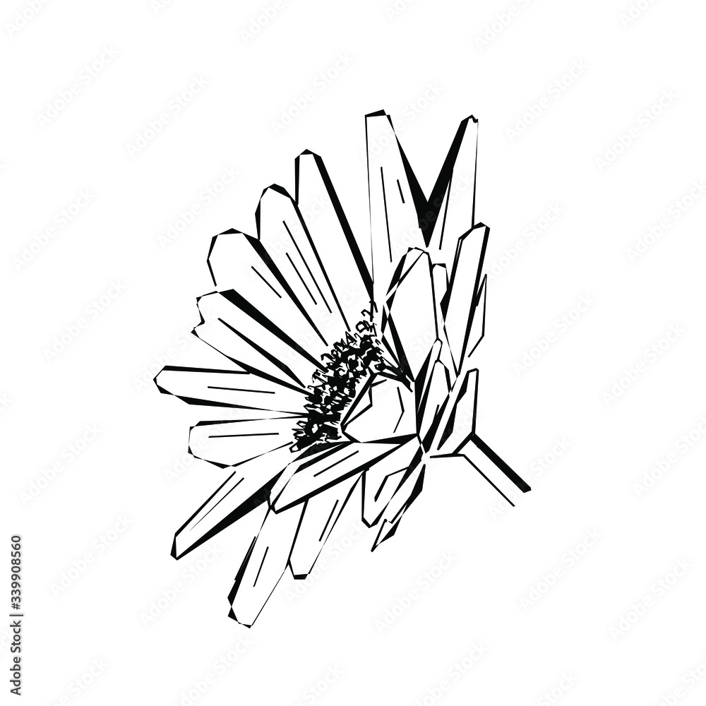 Spring flower as a design element. Flower in the sketch style isolated on white. Hand-drawn element for greeting cards. Vector illustration for paper, text, tattoo Spring flower as a design element. Flower in the sketch style isolated on white. Hand-drawn element for greeting cards. Vector illustration for paper, text, tattoo
