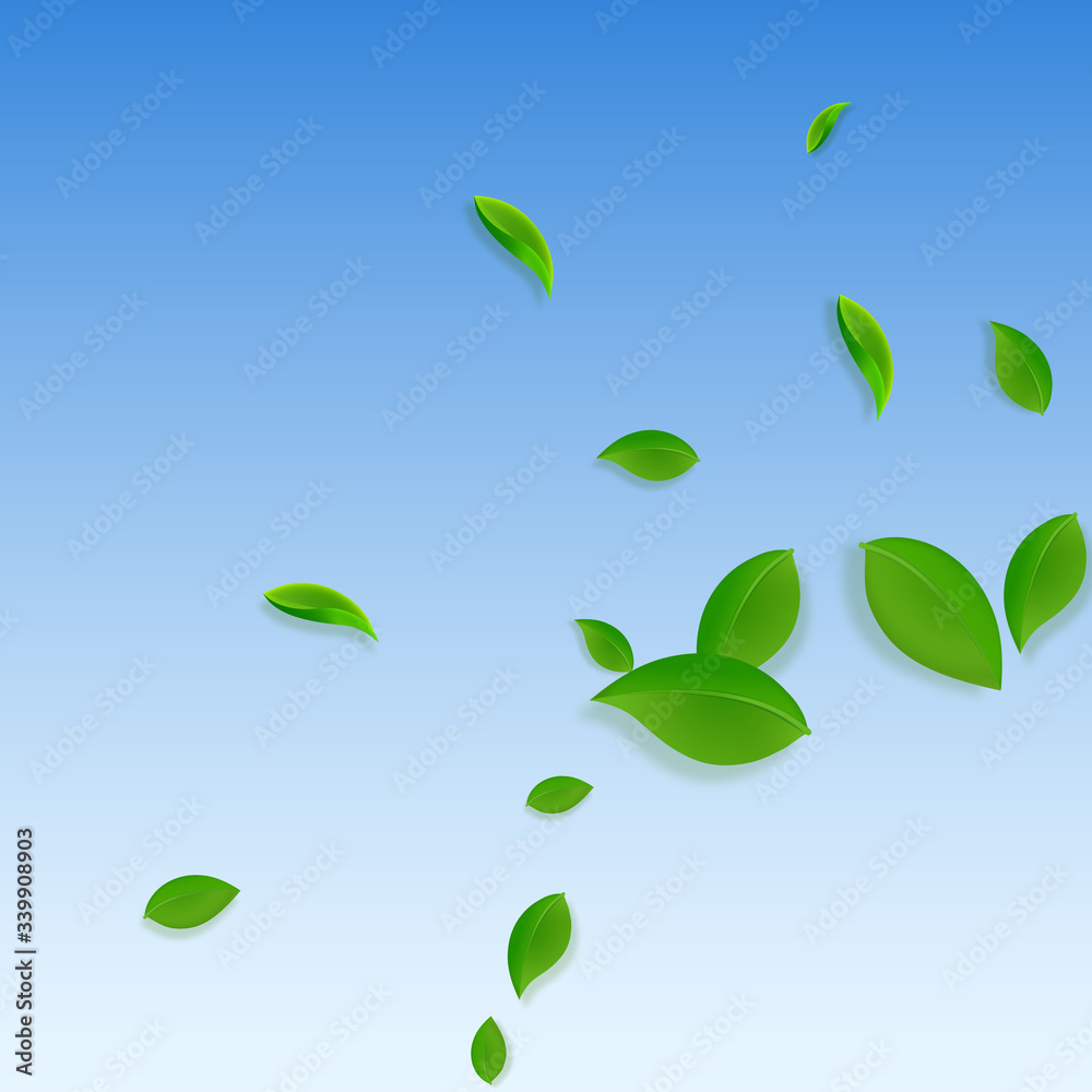 Falling green leaves. Fresh tea chaotic leaves fly Falling green leaves. Fresh tea chaotic leaves fly