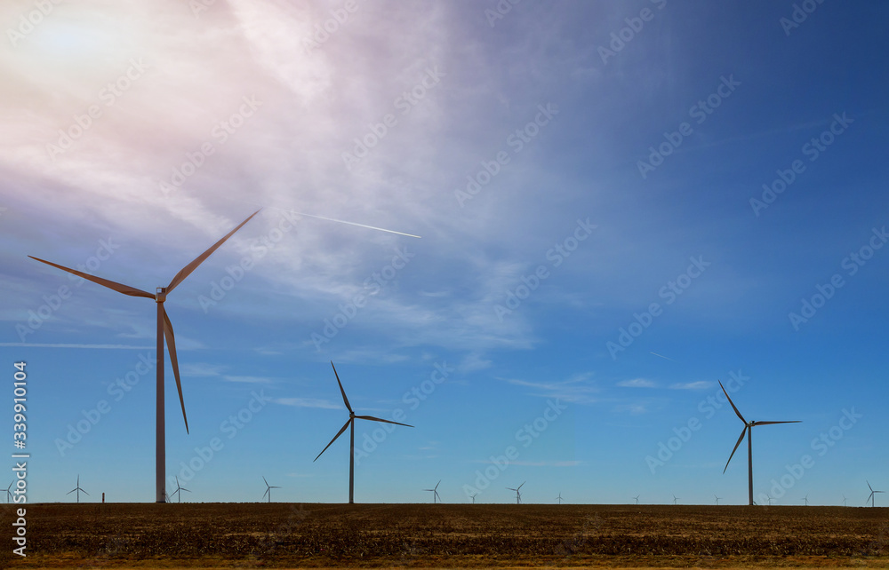 Obraz premium Windmills in the West Texas wind power