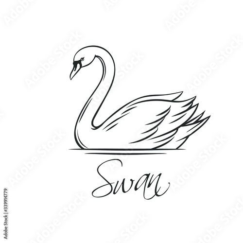 Obraz na plátně Swans outline icon.