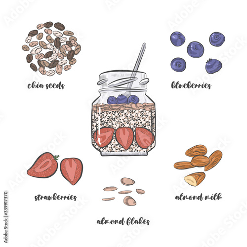 Chia pudding recipe vector sketch. Chia dessert in jar and pudding ingredients isolated on white background.