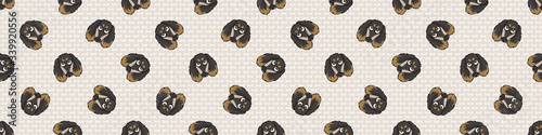 Hand drawn cute saluki puppy face breed seamless border pattern. Purebred pedigree domestic dog background. Dog lover borzoi pet washi ribbon. Kennel pooch EPS 10. 