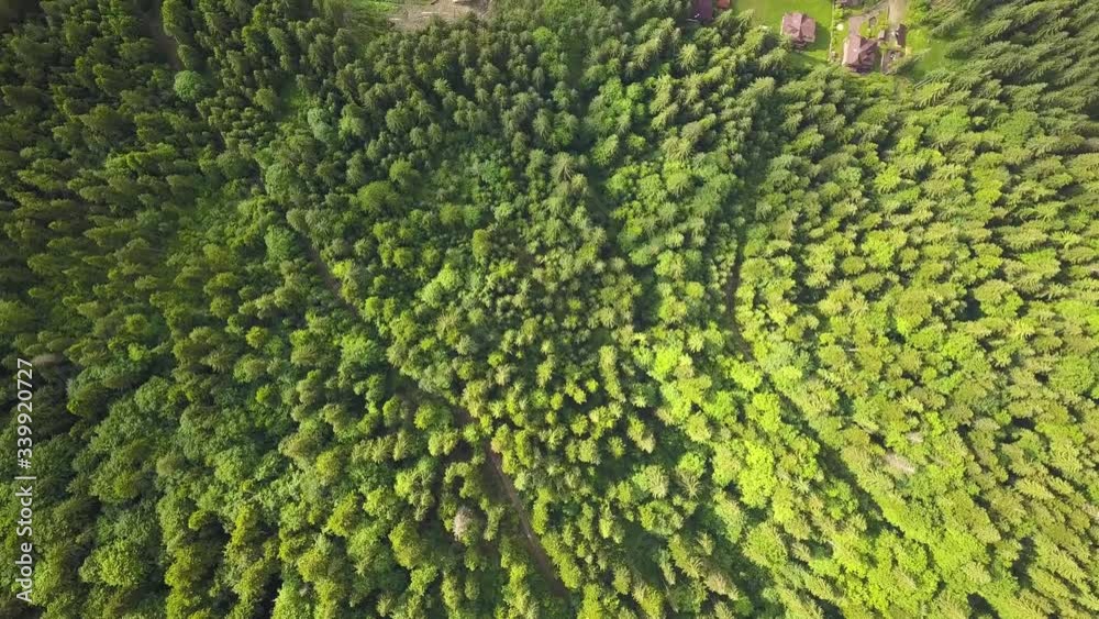 Top down aerial view of green summer forest with many fresh trees.
Top down aerial view of green summer forest with many fresh trees.