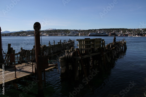 bird birds cormorants tromso tromsø  water travel tourism sea coast nature port blue landscape sky harbor architecture europe boatship mountain summer bay view city beautifull and mark mediterranean v © kentfrode