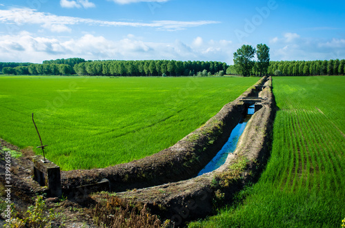 Φωτογραφία Un canale attraversa la risaia lungo la Via Francigena dopo Vercelli