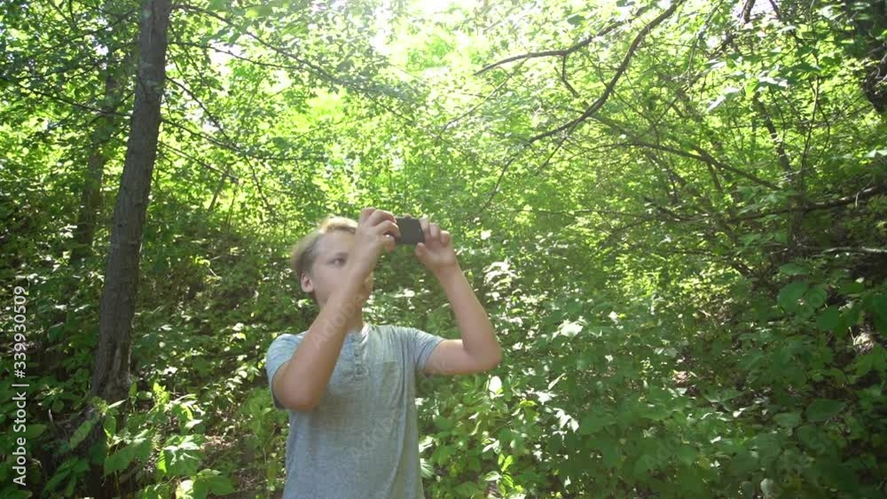 Young kid taking photos of green fresh foliage of old tall trees growing in forest. Looking up at tree tops isolated at sunny sky background. Young kid taking photos of green fresh foliage of old tall trees growing in forest. Looking up at tree tops isolated at sunny sky background.