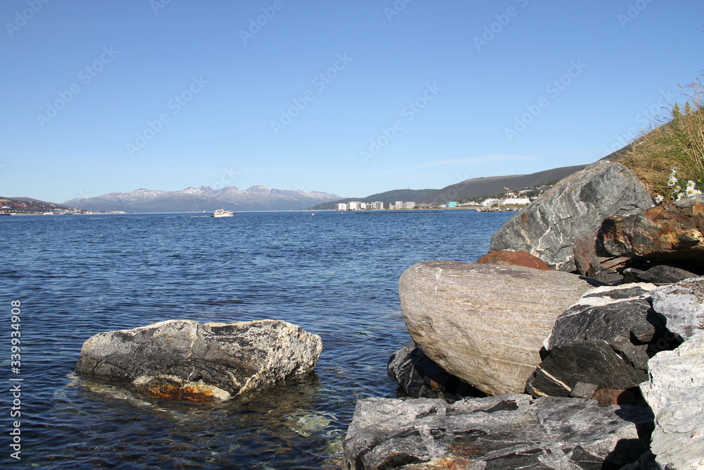 bird birds cormorants tromso tromsø water travel tourism sea coast nature port blue landscape sky harbor architecture europe boatship mountain summer bay view city beautifull and mark mediterranean v bird birds cormorants tromso tromsø water travel tourism sea coast nature port blue landscape sky harbor architecture europe boatship mountain summer bay view city beautifull and mark mediterranean v