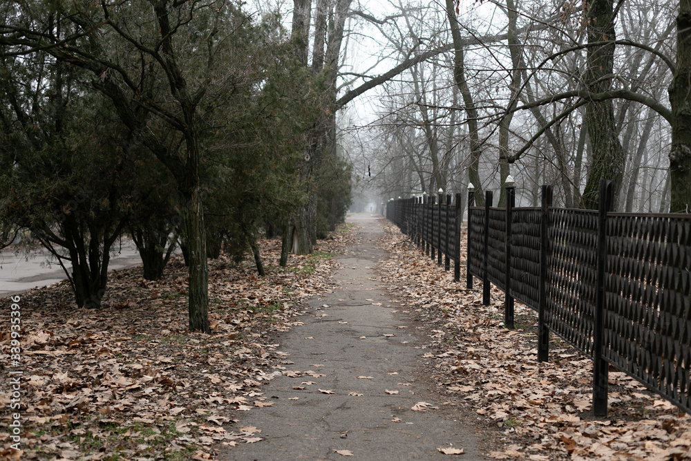 an autumn alley with fallen leaves on a cloudy day an autumn alley with fallen leaves on a cloudy day