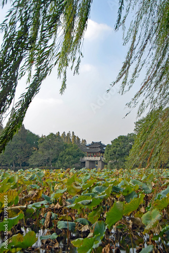 West Lake (Xi Hu) in Hangzhou, Zhejiang Province, China. Yudai bridge on West Lake, one of the famous symbols of Hangzhou city. West Lake is a major UNESCO tourist attraction in Hangzhou, China. photo