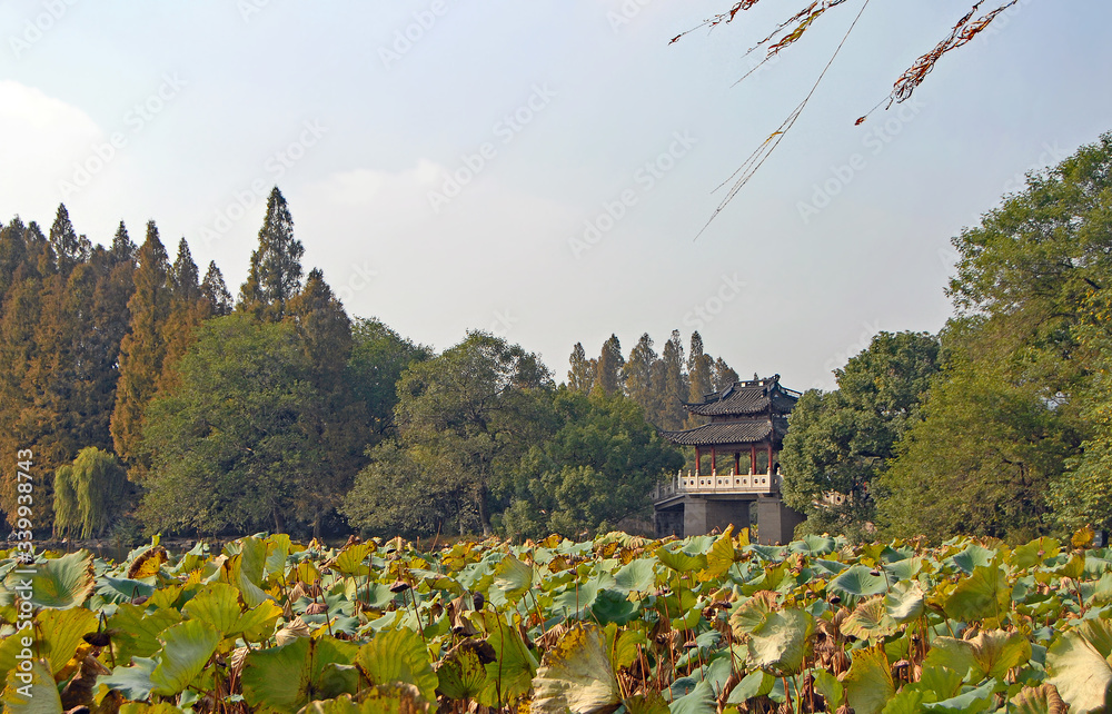 Fototapeta premium West Lake (Xi Hu) in Hangzhou, Zhejiang Province, China. Yudai bridge on West Lake, one of the famous symbols of Hangzhou city. West Lake is a major UNESCO tourist attraction in Hangzhou, China.
