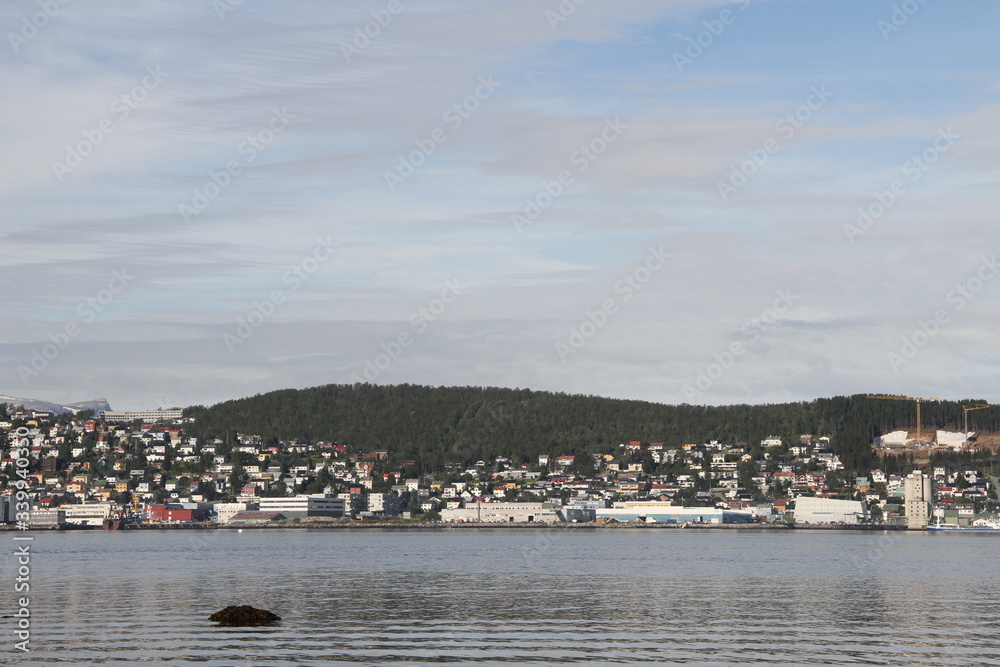 bird birds cormorants tromso tromsø  water travel tourism sea coast nature port blue landscape sky harbor architecture europe boatship mountain summer bay view city beautifull and mark mediterranean 