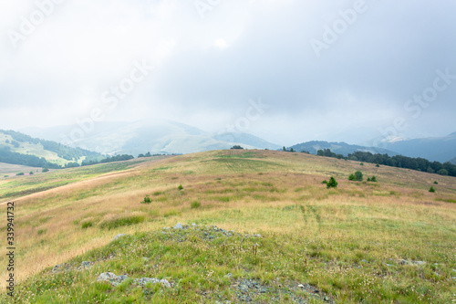 Foggy Mountain Hill