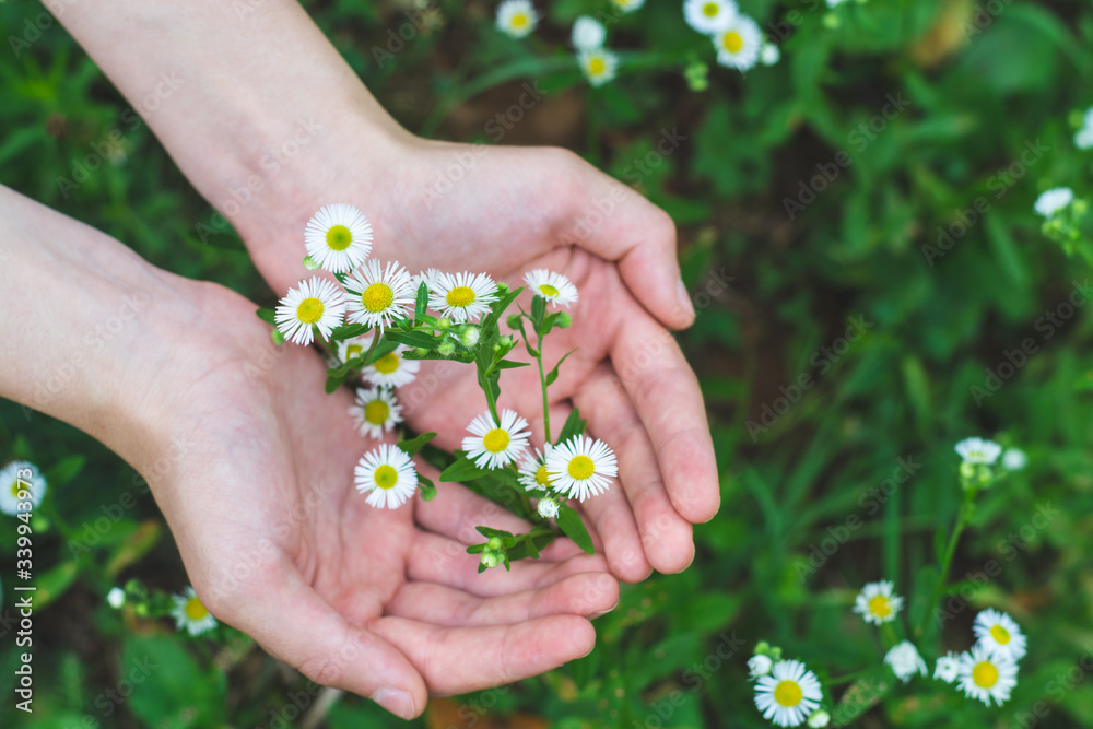 Embracing  Wild Flowers