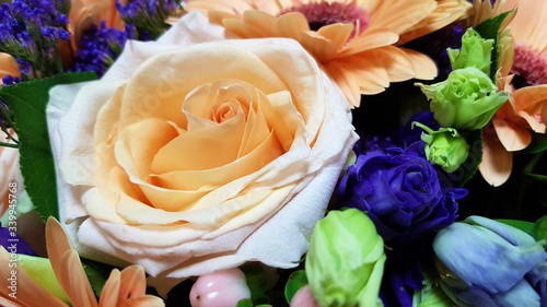 Delicate peach rose close-up in the composition of the bouquet photo