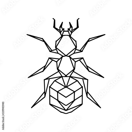 Hand-drawn geometric linear ant. Polygonal insects