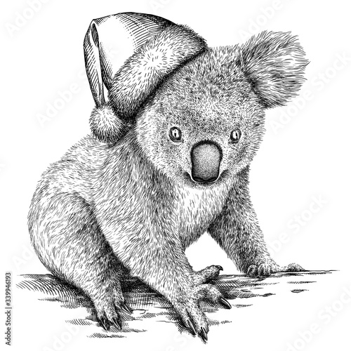 Photography black and white engrave isolated Koala illustration