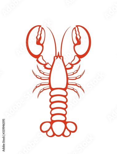 Lobster outline. Isolated lobster on white background