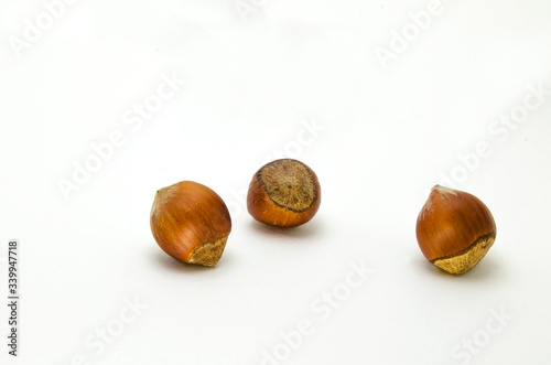 Inshell hazelnuts on a white background photo