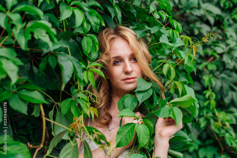 Portrait of a young beautiful woman, hiding in of wild grape leaves. Portrait of a young beautiful woman, hiding in of wild grape leaves.
