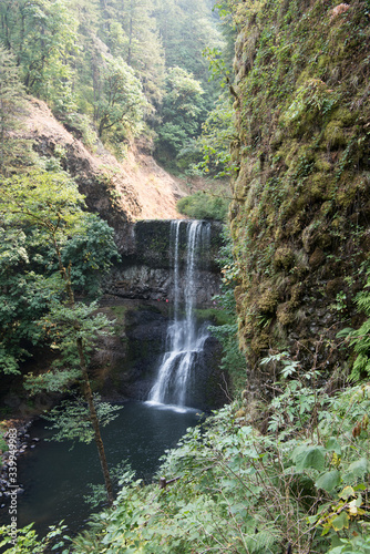 Waterfall in a forest  Oregon