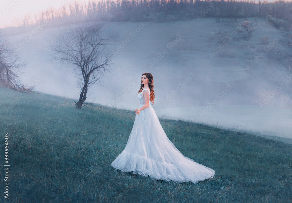 Young beautiful brunette woman lady walks in spring hills meadow in fog at spring dawn. Luxury elegant princess vintage wedding white dress. Art queen lady medieval clothes. autumn mystic cold nature Young beautiful brunette woman lady walks in spring hills meadow in fog at spring dawn. Luxury elegant princess vintage wedding white dress. Art queen lady medieval clothes. autumn mystic cold nature