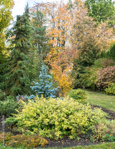decorative garden landscape in autumn with plants and tree leaves of very different colors; autumn splendor