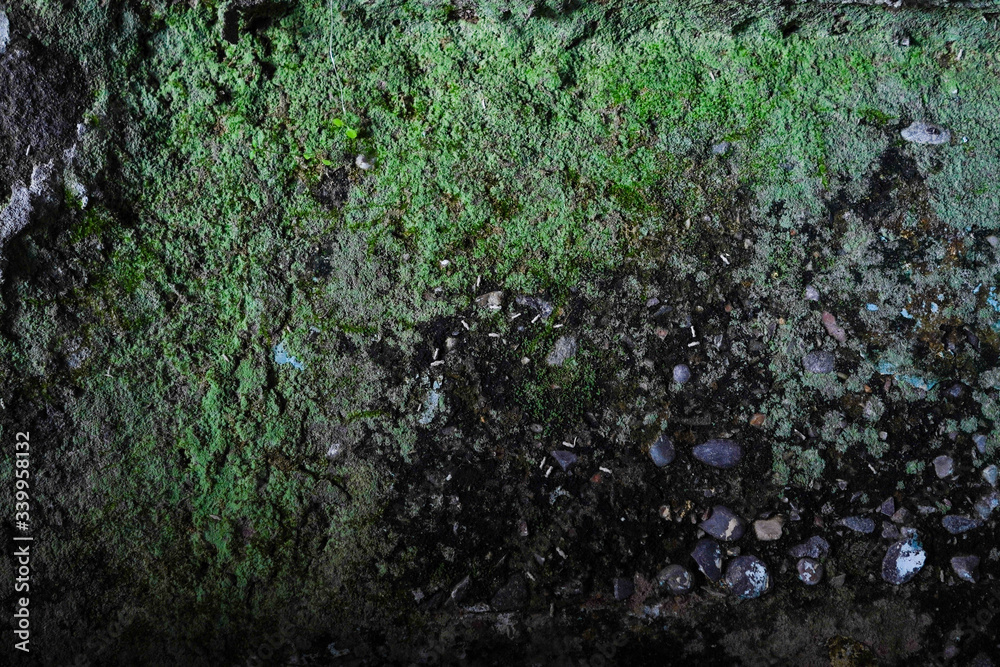 Texture - Wall Deterioration - Moldy wall - Rust Texture - Wall Deterioration - Moldy wall - Rust