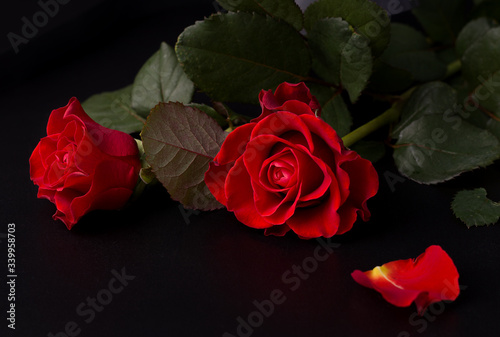 Fototapeta Naklejka Na Ścianę i Meble -  The concept of mourning and death. Bouquet of red roses on a black background. Copy space