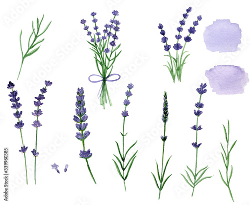 Canvas Print Set of lavender flowers, bouquet lavender, isolated white background, watercolor