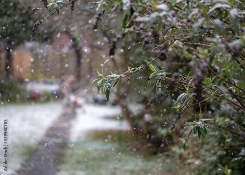 A Quick Winter Snow Shower