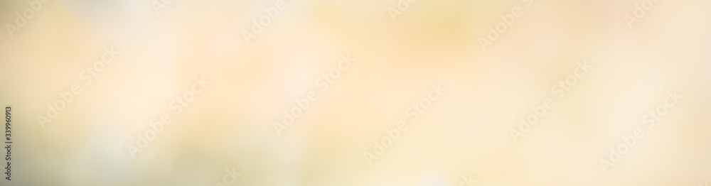 Abstract beautiful light of green leaf using as background natural plant leaves cover page Abstract beautiful light of green leaf using as background natural plant leaves cover page