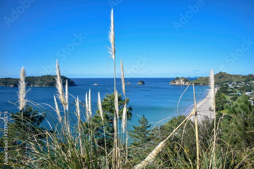 Hahei beach