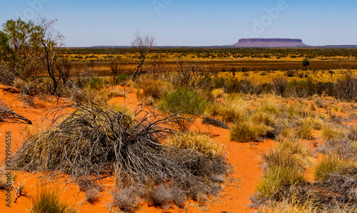 Australian outback landscape with Mount Conner in the background. Tree, bush, red sand on the desert. photo