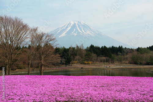 Mont Fuji © Nicophotographer