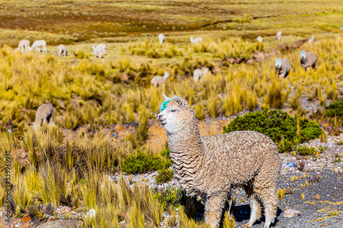 Eine Reise durch das atemberaubende Peru.