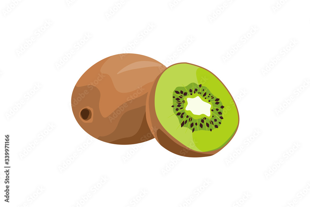 Obraz premium Kiwifruit or Chinese Gooseberry illustration. A whole and a sliced half fruit. Isolated on a white background.