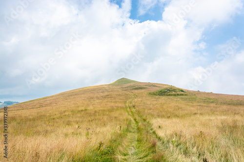 Green Hill Top Landscape