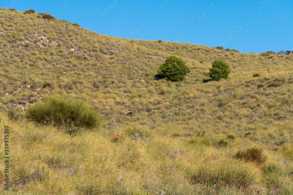 Obraz premium mountainous landscape near the Beninar reservoir (Spain)