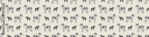Hand drawn cute greyhound puppy and dog breed seamless border pattern. Purebred pedigree domestic dog background. Dog lover fast racing pet washi ribbon. Kennel pooch EPS 10. 