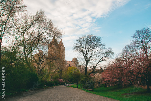 New York City, NY, USA - 04/08/2019: 
Central Park
