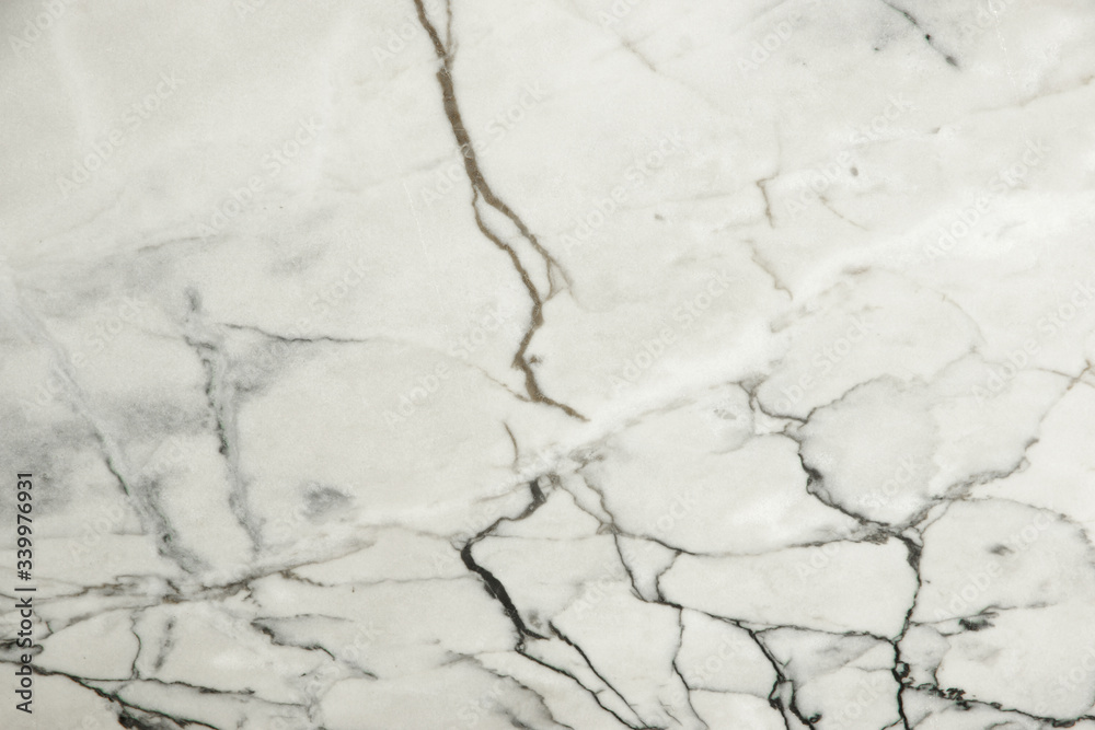 A slab of natural stone with white veined marble called Bianco Portugalo A slab of natural stone with white veined marble called Bianco Portugalo