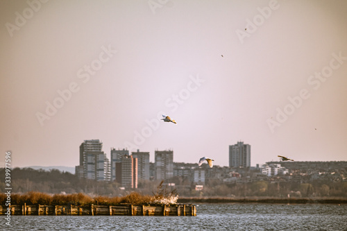 Burgas skyline