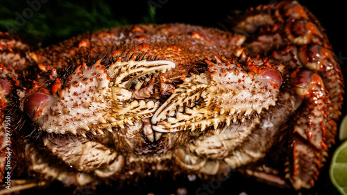 Delicious seafood. Crab with greens and lime on black background. Vertical shot. Close-up.