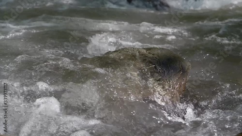 River water flow and lying stone