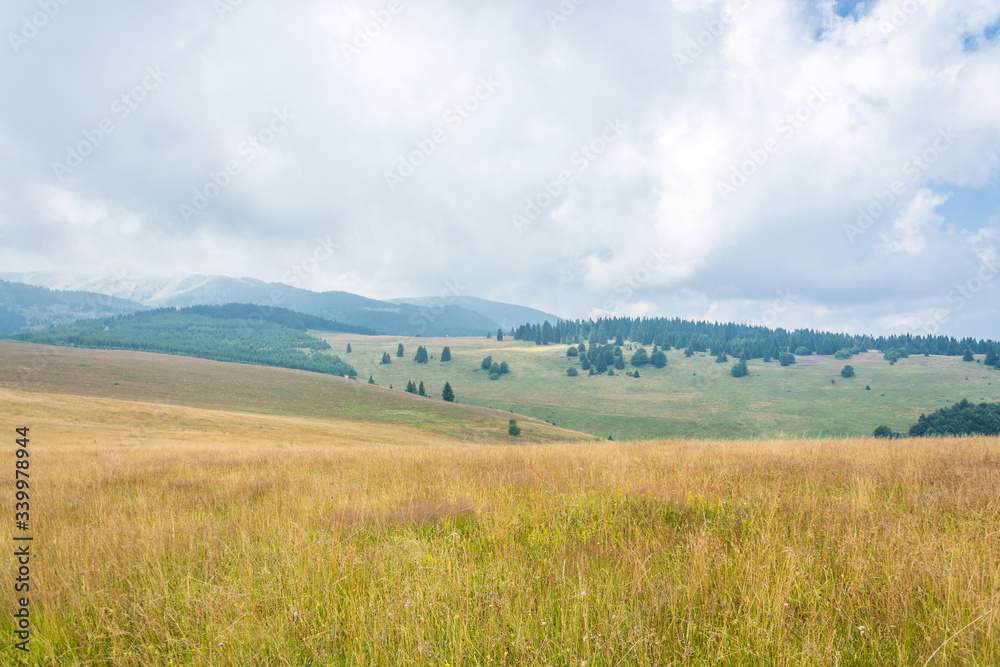 Foggy Morning Hills