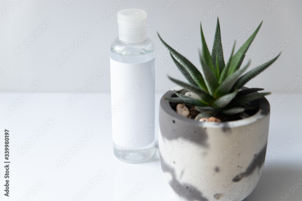 Cosmetic bottle for liquid, cream, gel, lotion. Hand sanitizer. Organic natural science beauty product. Battle with haworthia flower on white background Cosmetic bottle for liquid, cream, gel, lotion. Hand sanitizer. Organic natural science beauty product. Battle with haworthia flower on white background