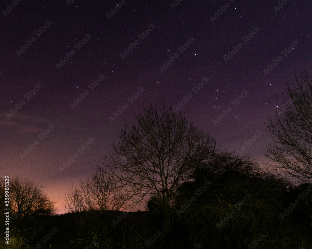 Fototapeta premium Stary night