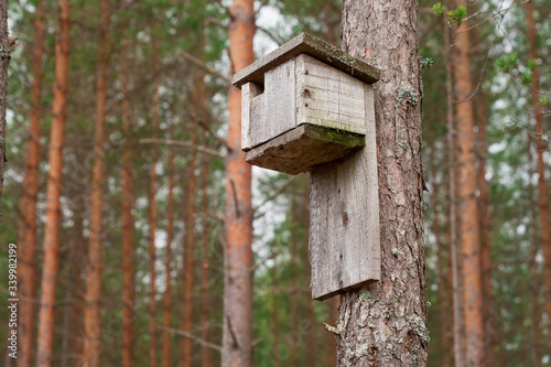 Birdhouse hanging on a tree in the forest. Artificial nesting for birds.
