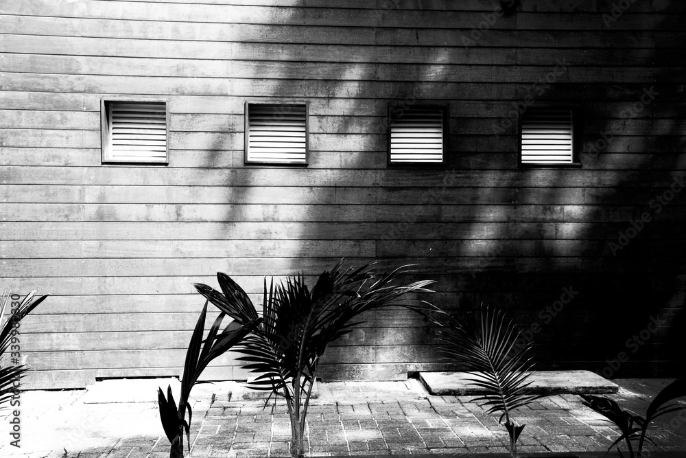 black and white windows on the wooden wall